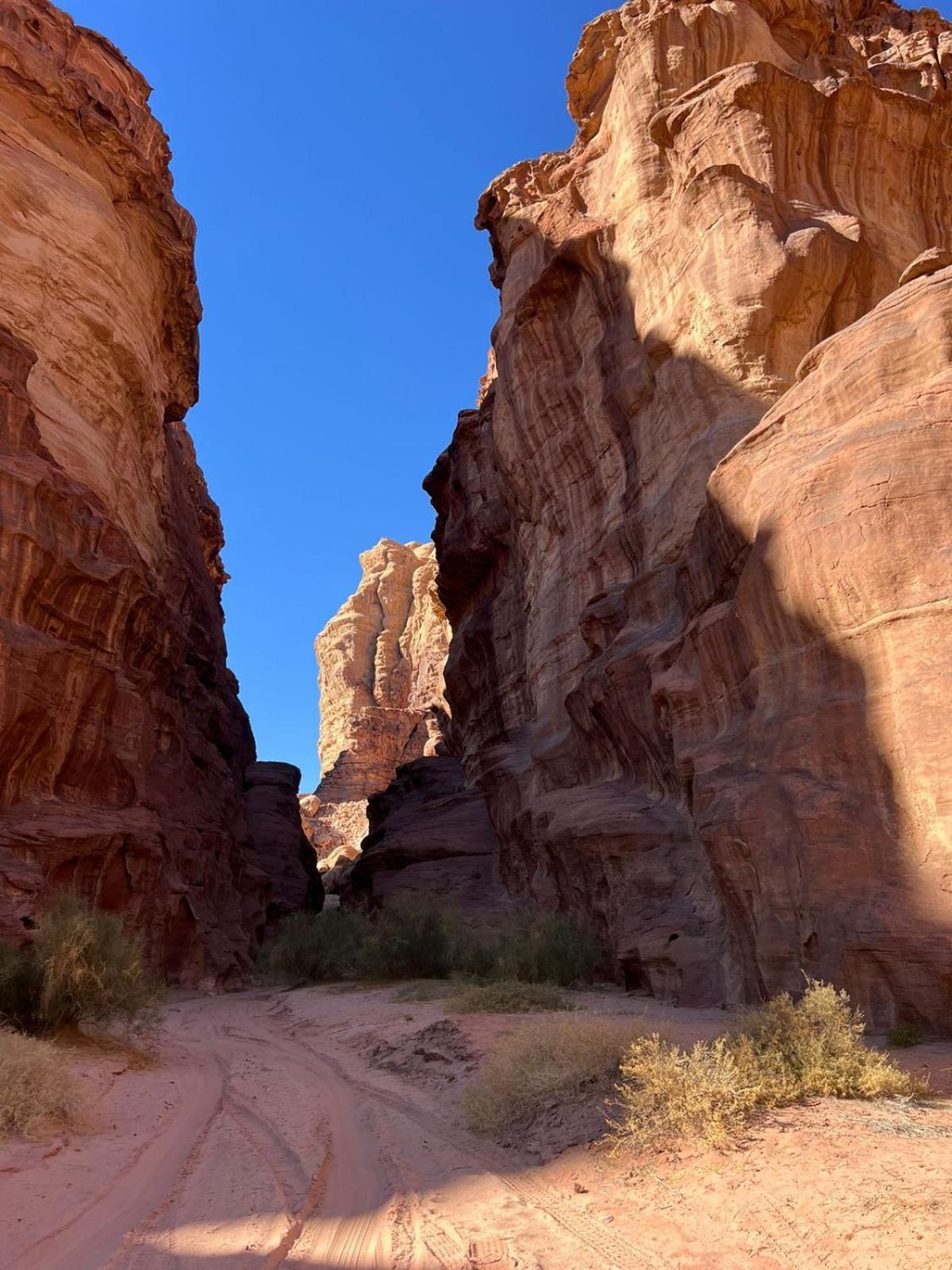 Desert Rock Camp ワディ ・ラム エクステリア 写真